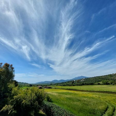 Agriturismo La Petrosa Ceraso Екстериор снимка