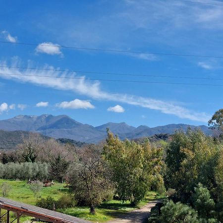 Agriturismo La Petrosa Ceraso Екстериор снимка