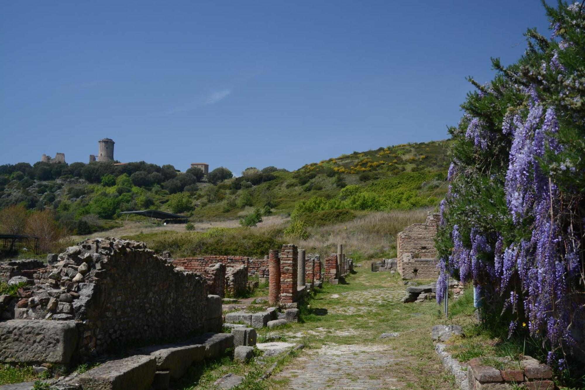 Agriturismo La Petrosa Ceraso Екстериор снимка