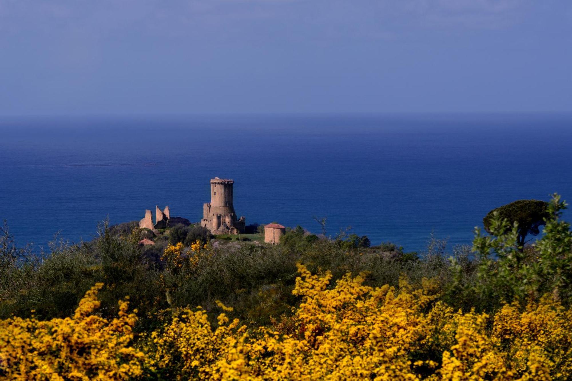 Agriturismo La Petrosa Ceraso Екстериор снимка