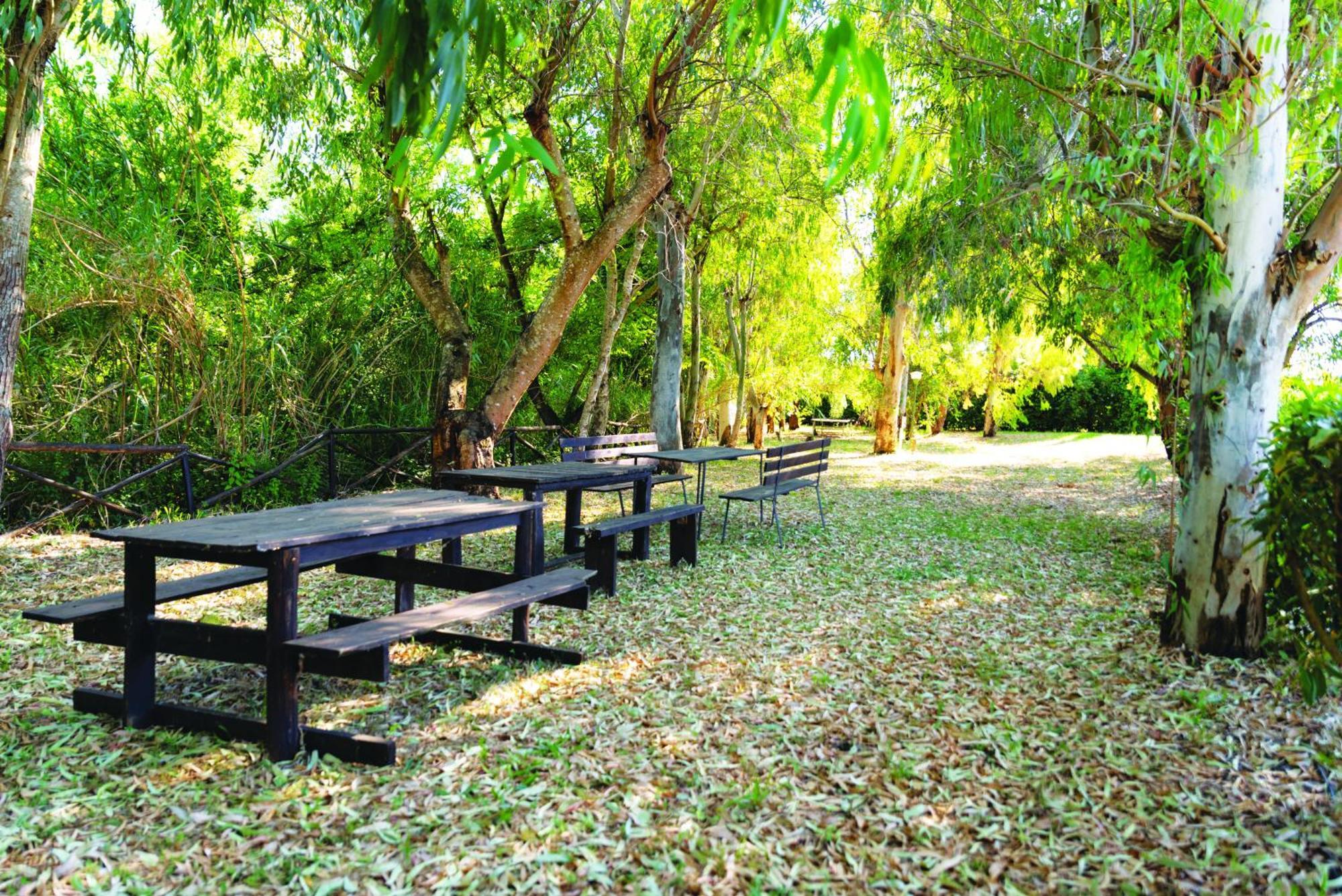 Agriturismo La Petrosa Ceraso Екстериор снимка