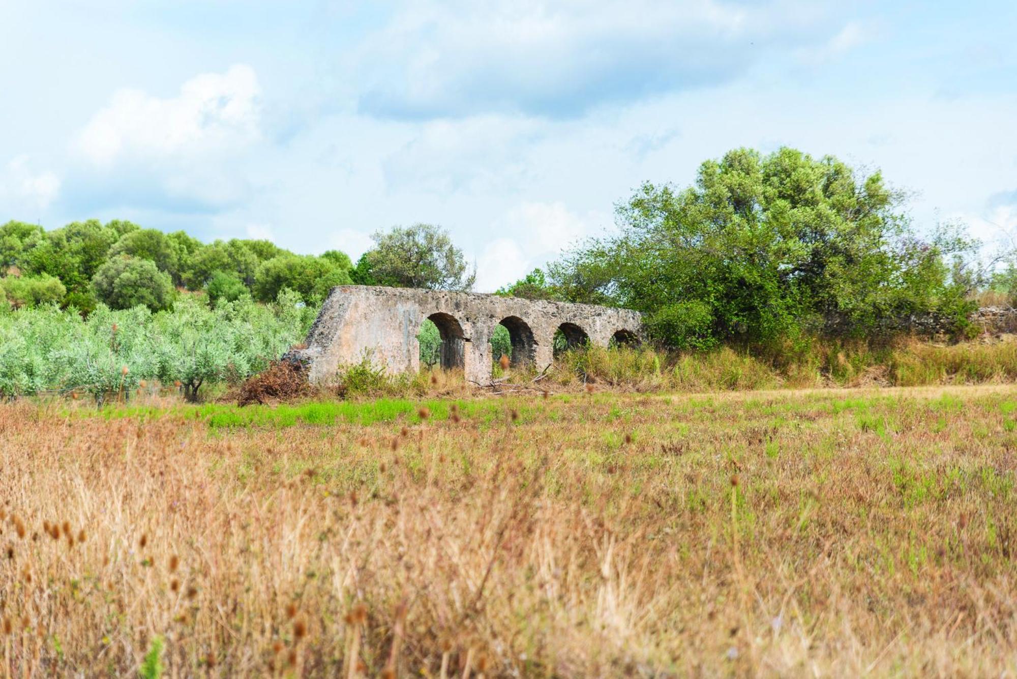 Agriturismo La Petrosa Ceraso Екстериор снимка
