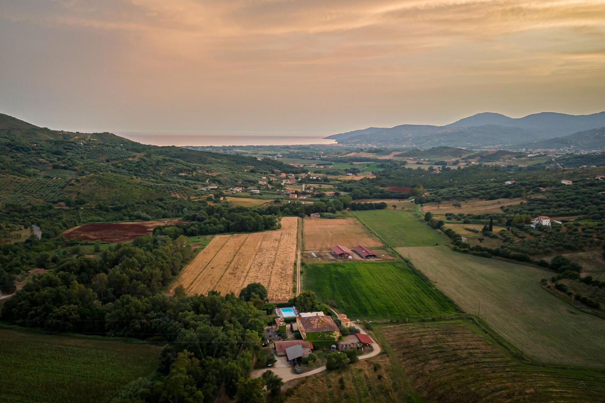 Agriturismo La Petrosa Ceraso Екстериор снимка