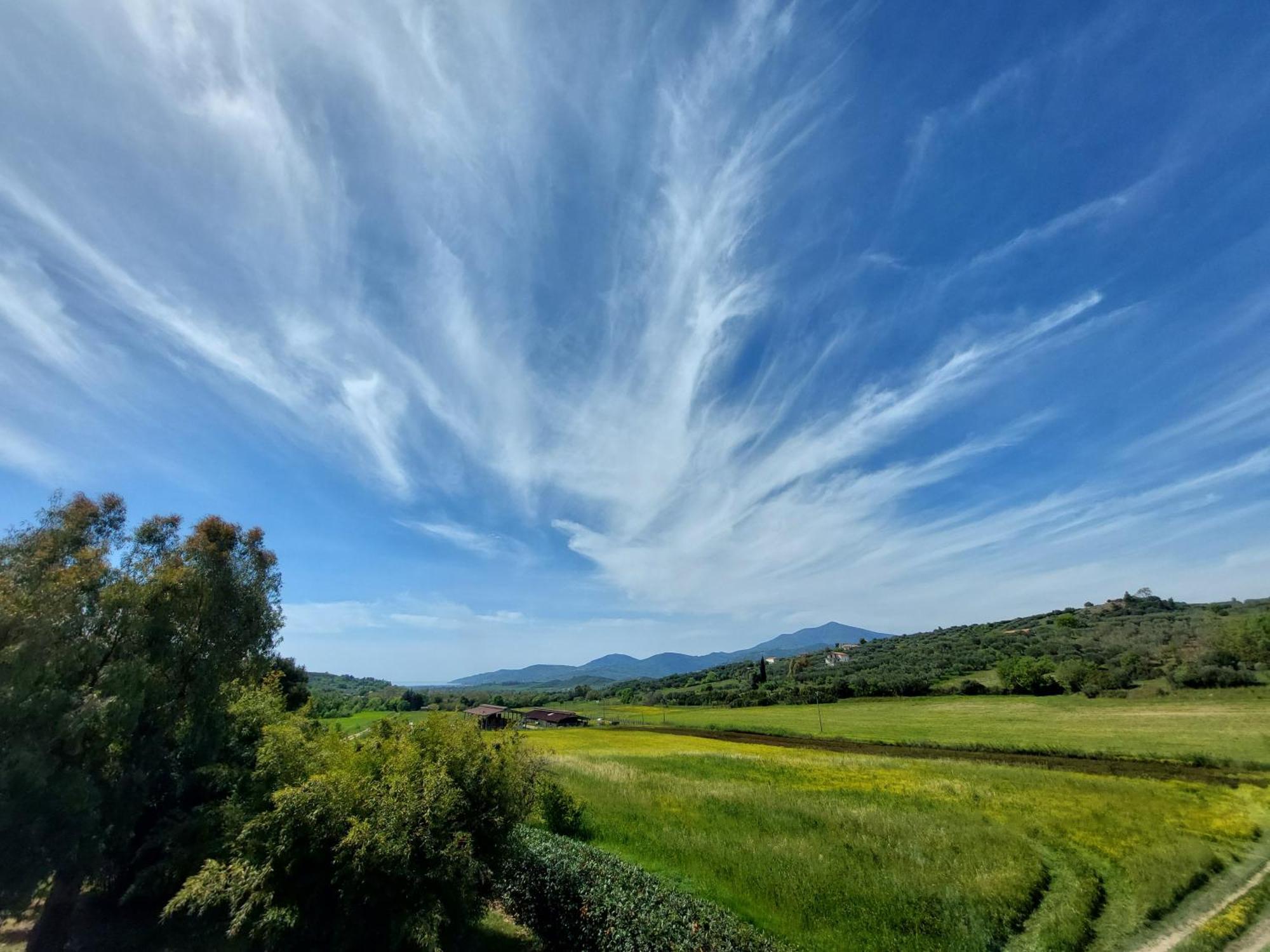Agriturismo La Petrosa Ceraso Екстериор снимка