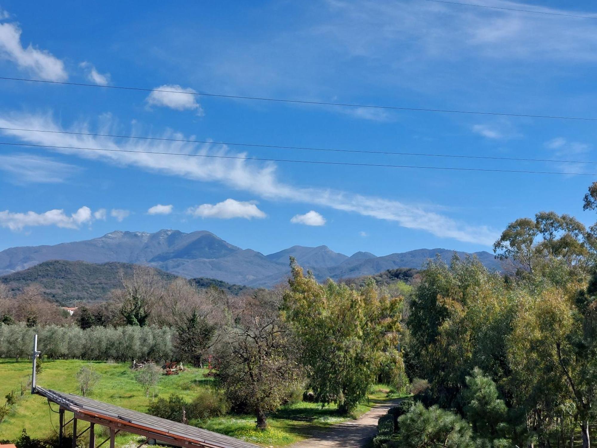 Agriturismo La Petrosa Ceraso Екстериор снимка